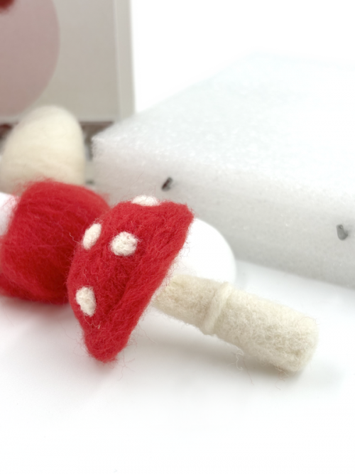 DIY Wool Felt Mushroom Needle Felting Kit