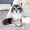 DIY Cat Needle Felting