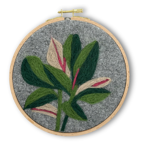 DIY Woolen Plant Embroidery Hoop Material Kit